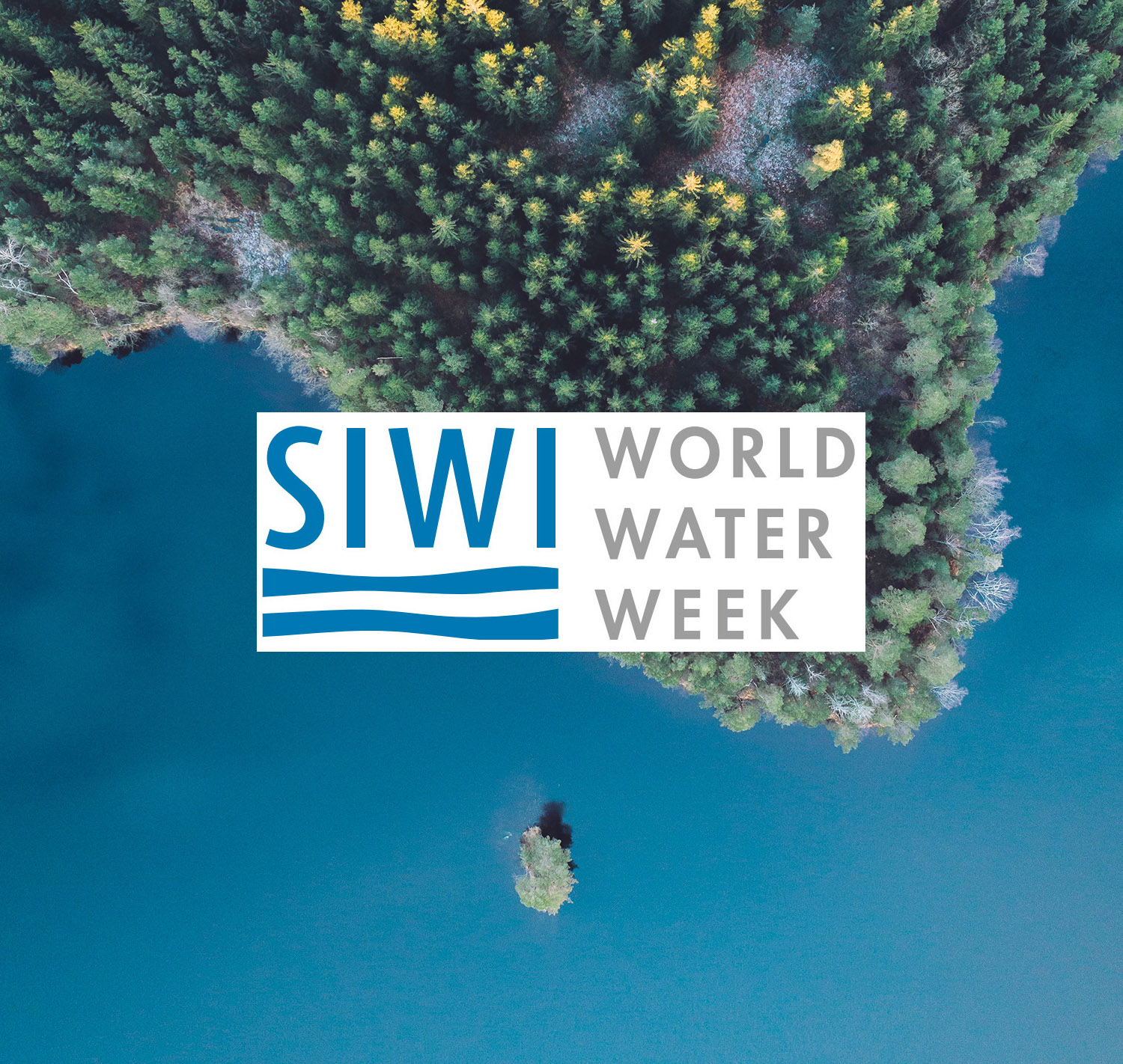 Central Asian countries at the World Water Week 2019