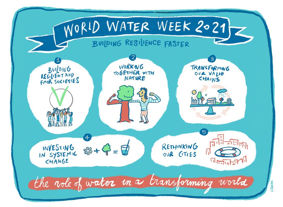 Всего несколько дней до Всемирной недели воды 2021!