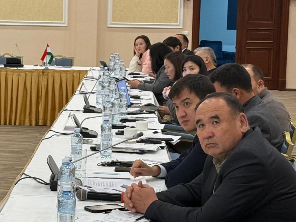 17 12 - 3.jpeg 17 12 - 3.jpeg