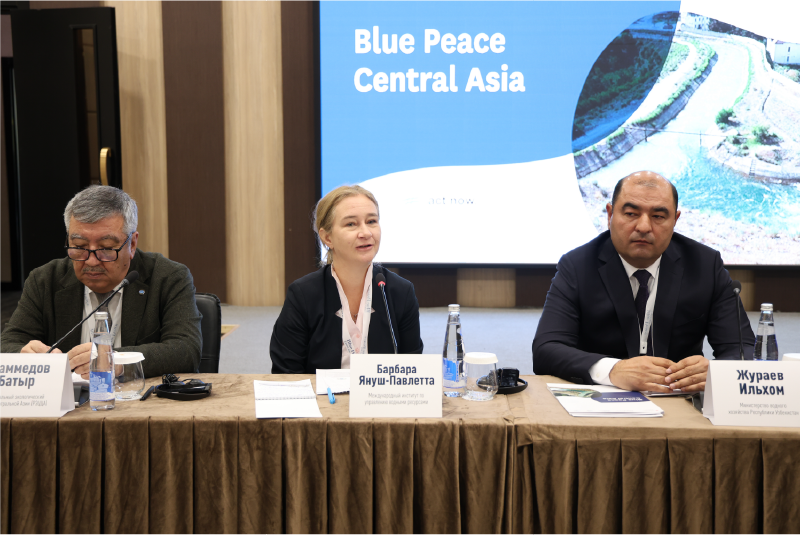 Barbara Janusz-Pawletta.png